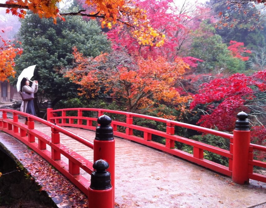 厳島神社の境内の紅葉